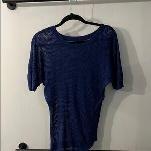 Elegant blue Sheer Knit Top